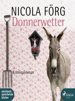 Donnerwetter--Ein Allgäu-Krimi - Audiobook
